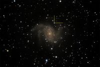 Supernova bei NGC6946 - Juergen Biedermann